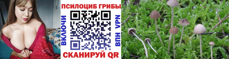 Галлюциногенные грибы Magic Shrooms  Крымск 