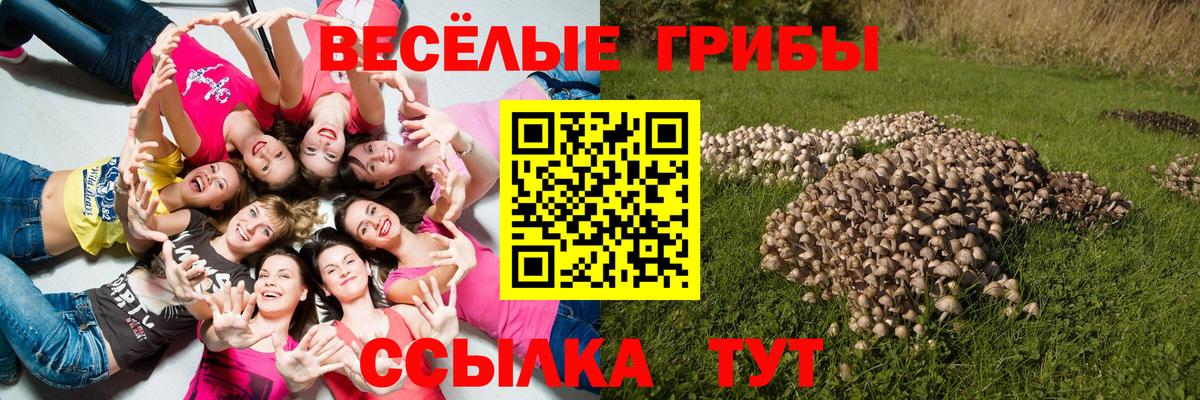 Крымск  цены наркотик  Вход с VPN  Галлюциногенные грибы ЛСД 