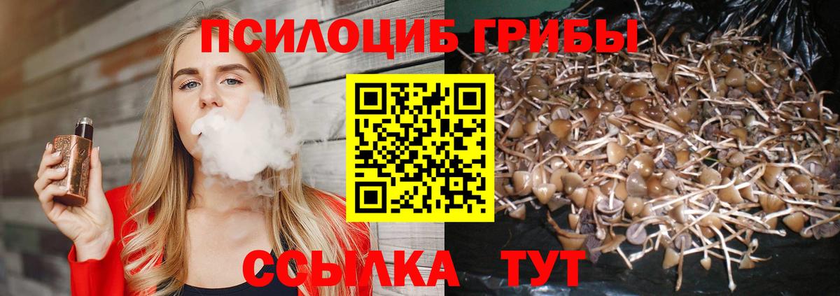 Галлюциногенные грибы ЛСД Крымск